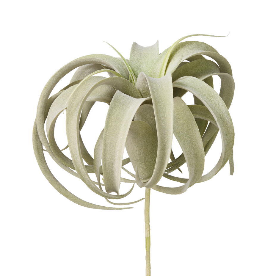 Faux Air Plant - Tillandsia Xerographica