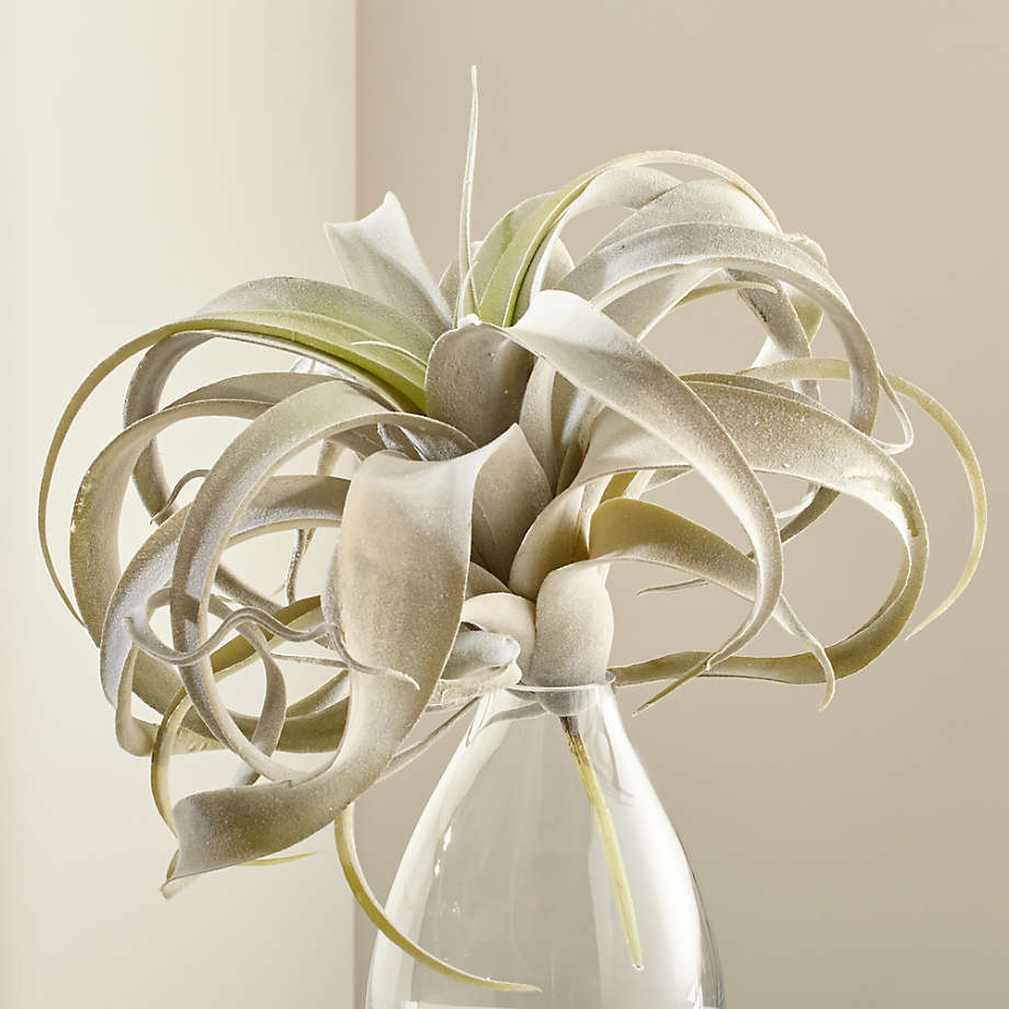 Faux Air Plant - Tillandsia Xerographica