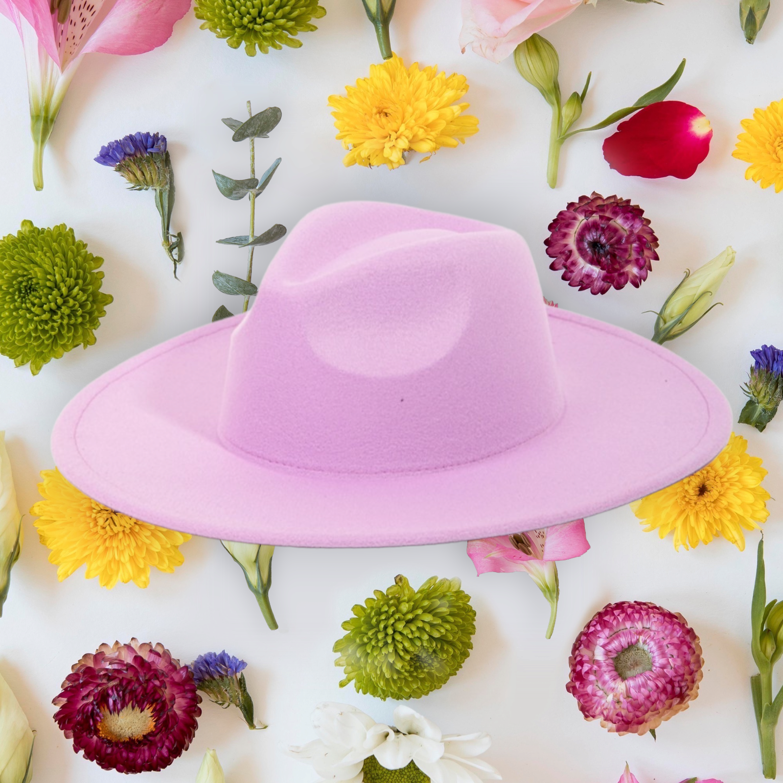 Solid Color Flat Brim Fedora Fashion Hat