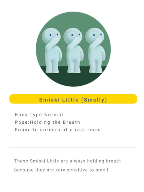 SMISKI toilet