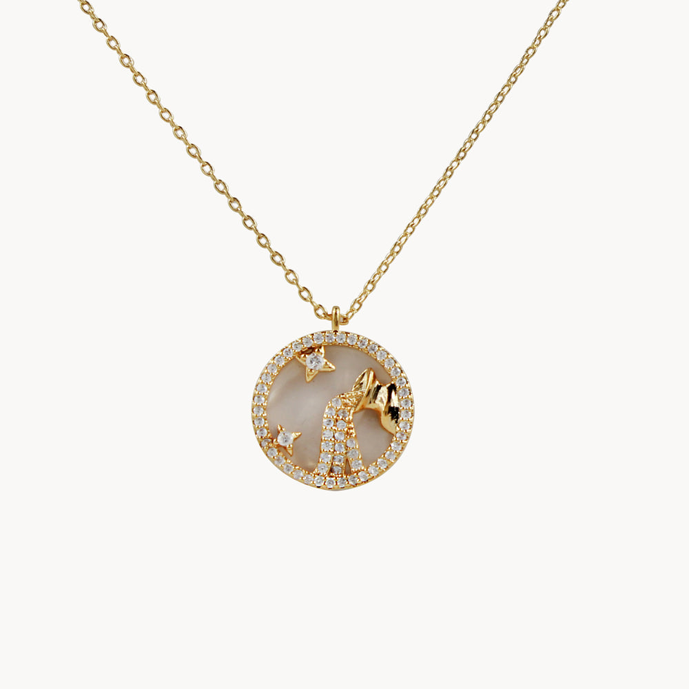 Zodiac Constellation Coin Inlay Necklace aquarius gold