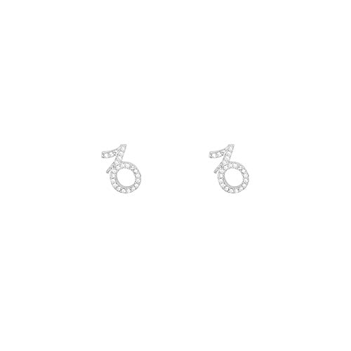 Zodiac Sign Constellation Earring capricorn silver