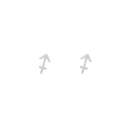 Zodiac Sign Constellation Earring sagittarius silver