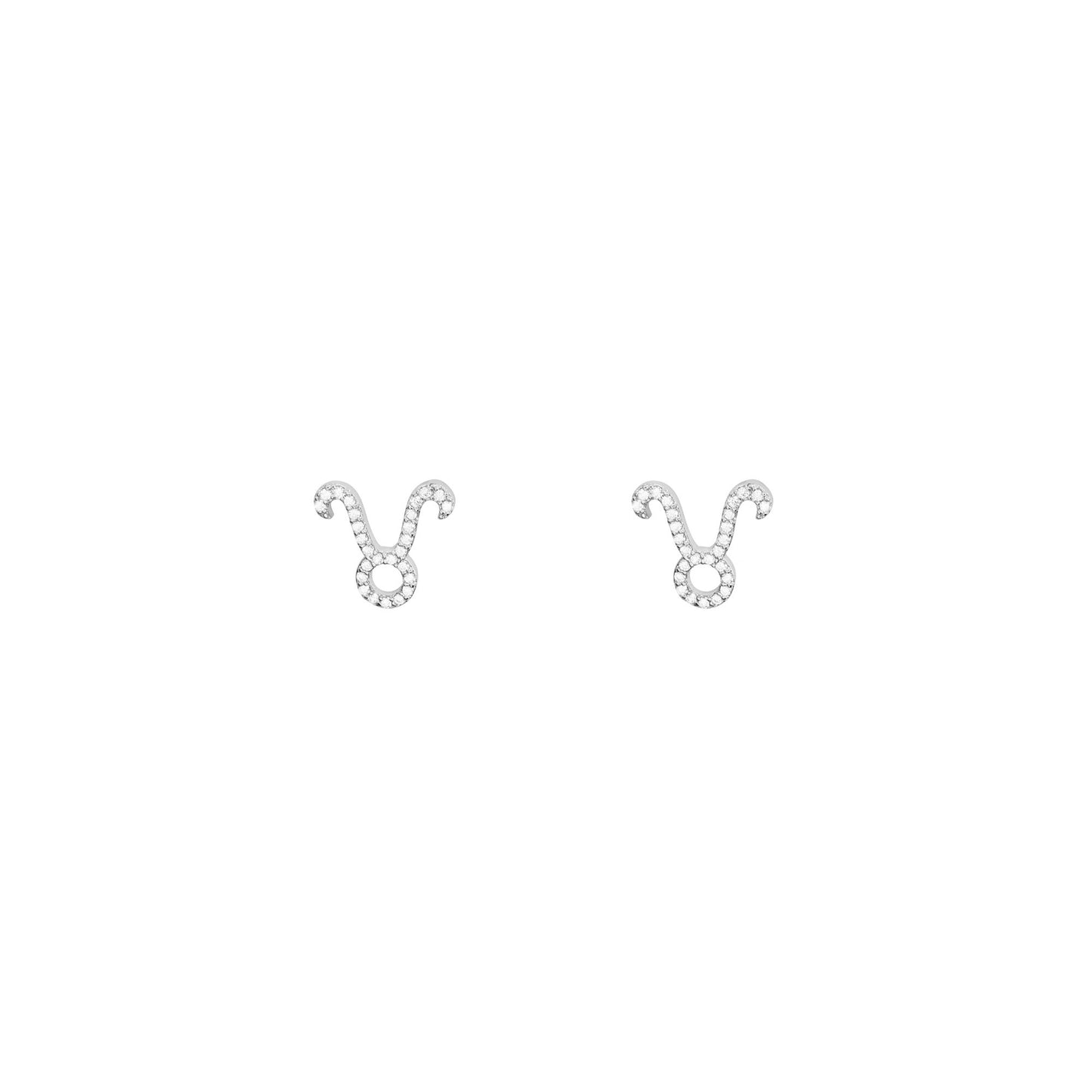 Zodiac Sign Constellation Earring taurus silver