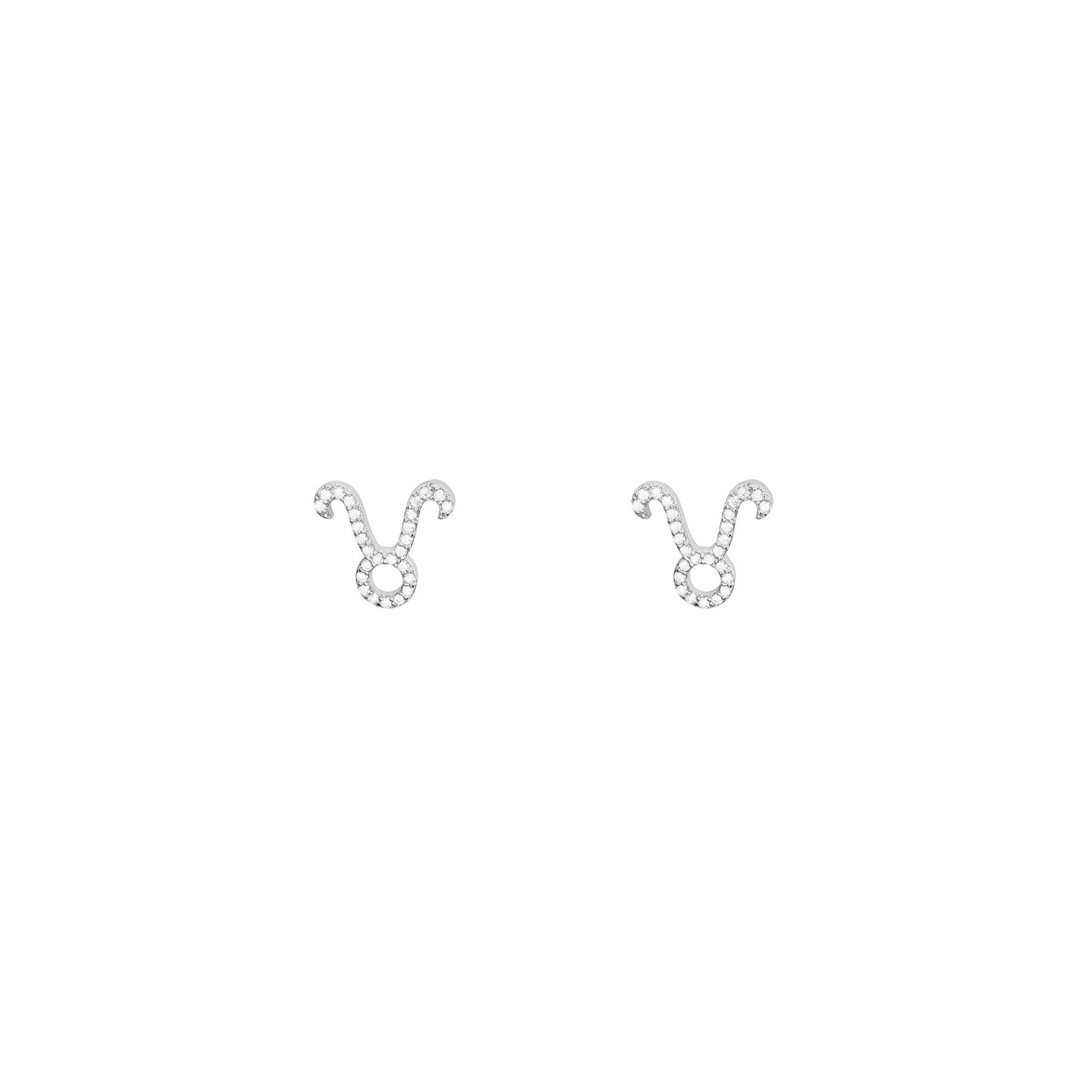 Zodiac Sign Constellation Earring taurus silver