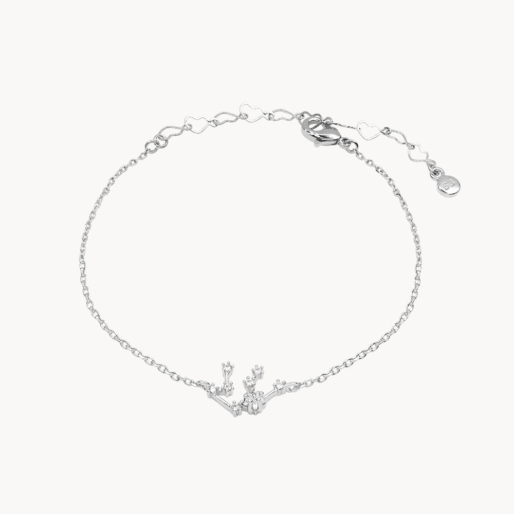 Zodiac Star Constellation Bracelet aquarius silver