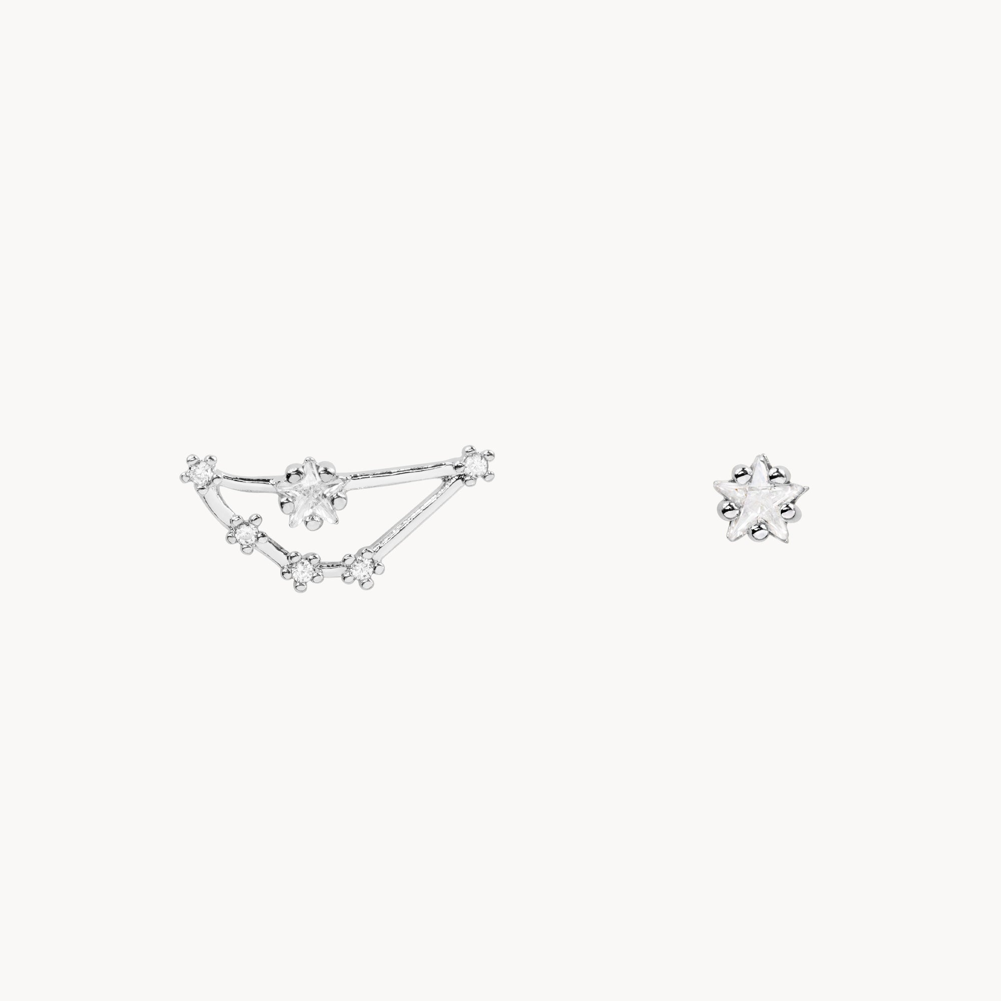 Zodiac Star Constellation Earring capricorn silver